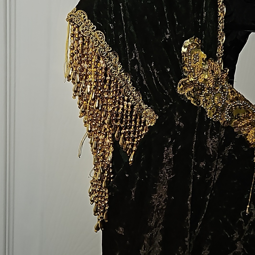 Maxima 100% Velvet Chocolate Gypsy Costume Gown Gold Sequins Beads Size Large 8 - Picture 6 of 17
